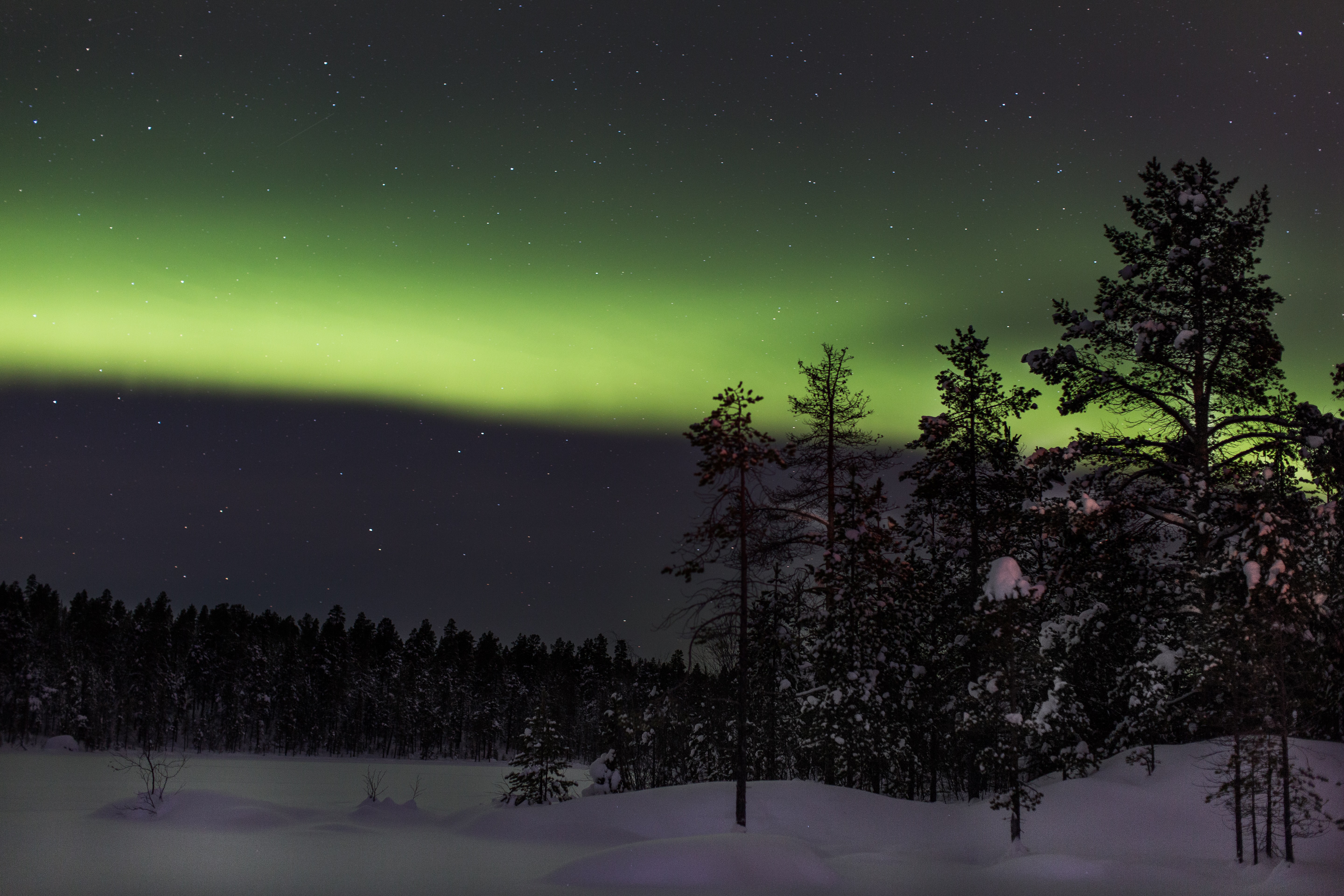 A wonderful snowy winter night with a green glowing sky