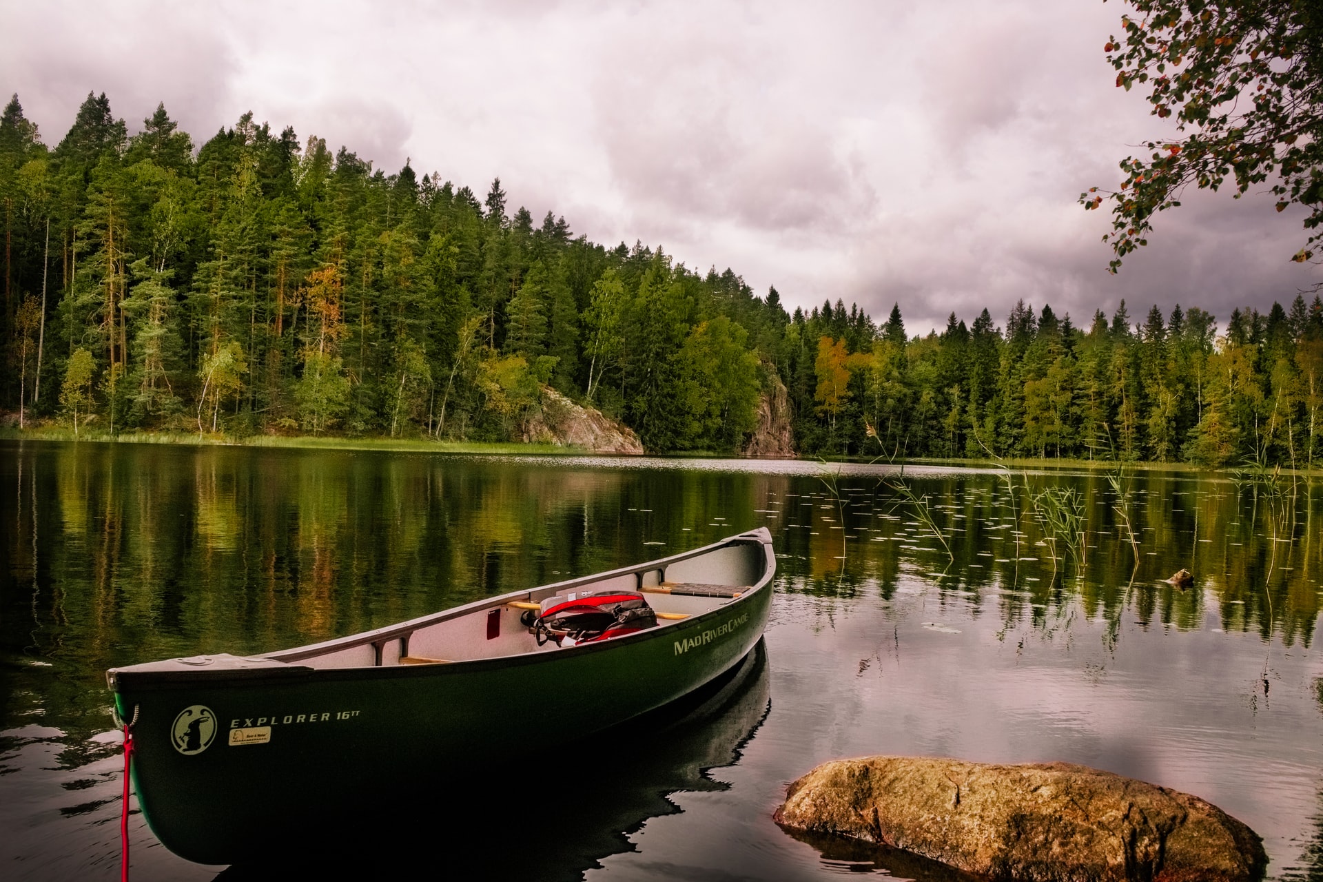 A forest, river and a boat