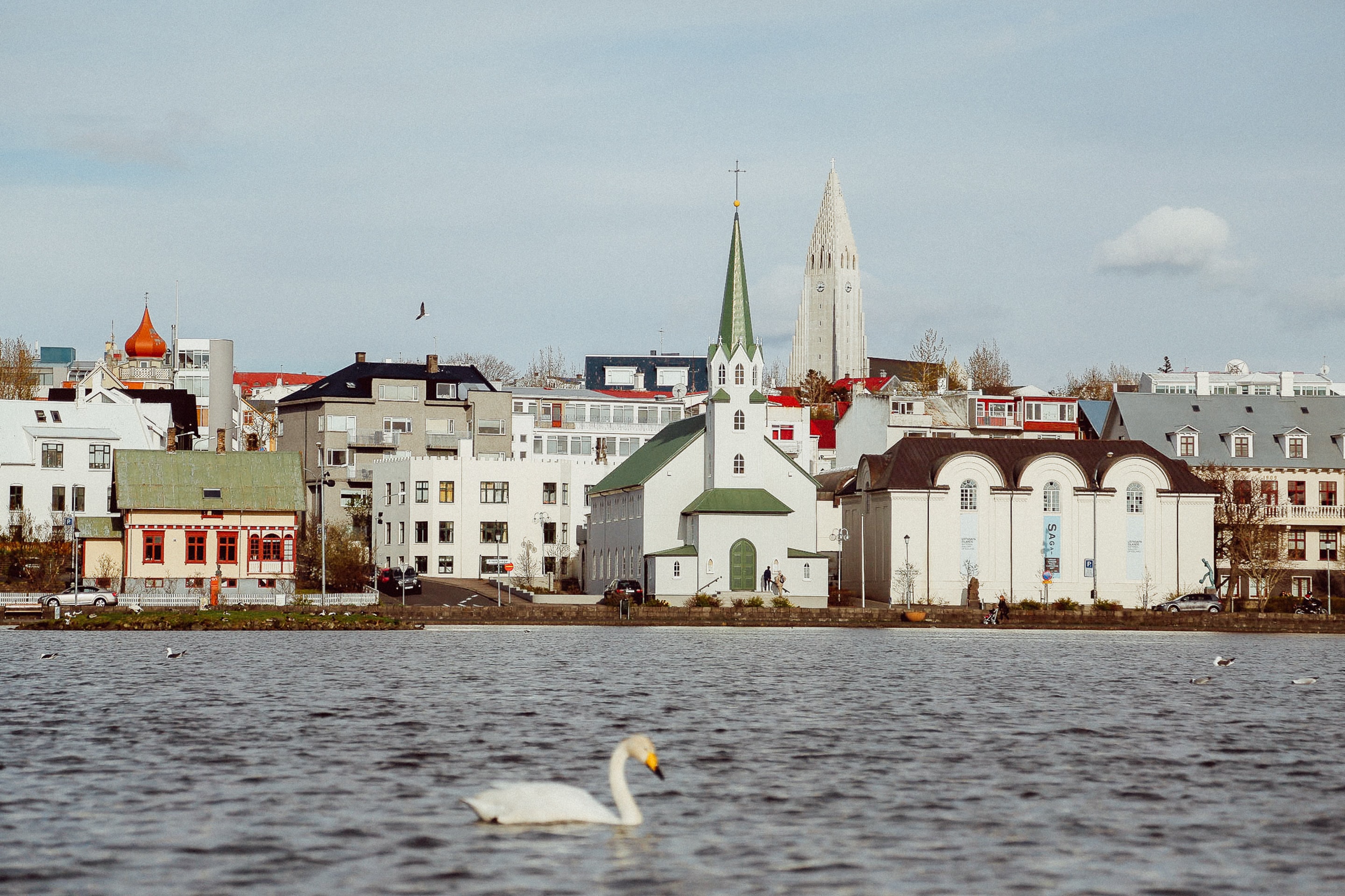 A riverside town with a swan swimming in the river