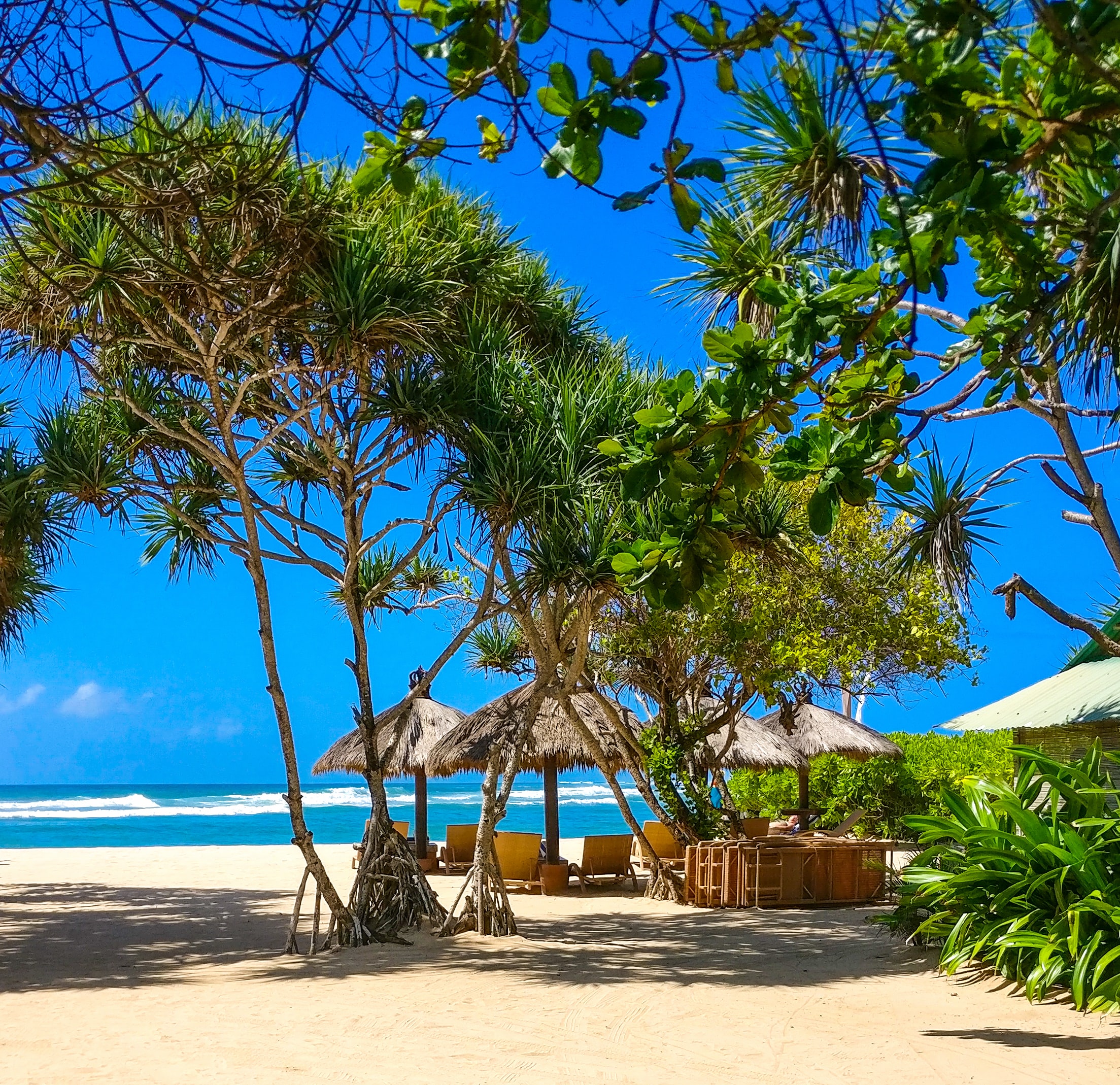 Picture of the beach with some huts and palm trees